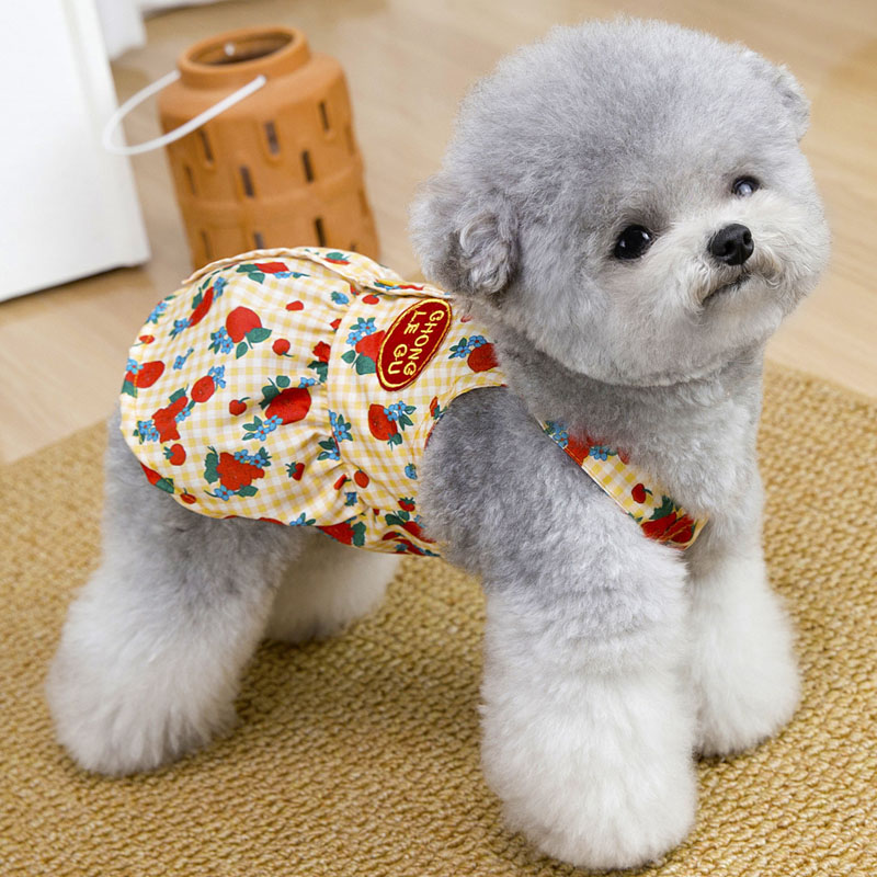 Tatlı Köpek Giysileri Yaz Mavi - Yellow Summer Clothing incelemesi ve fiyatı