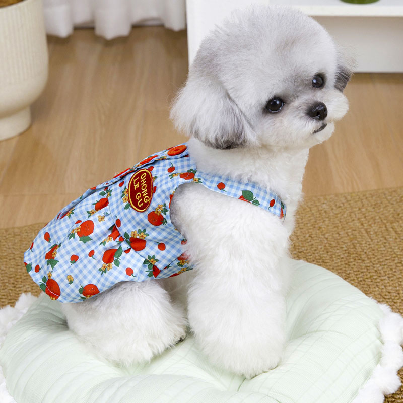 Tatlı Köpek Giysileri Yaz Mavi - Yellow Summer Clothing incelemesi ve fiyatı